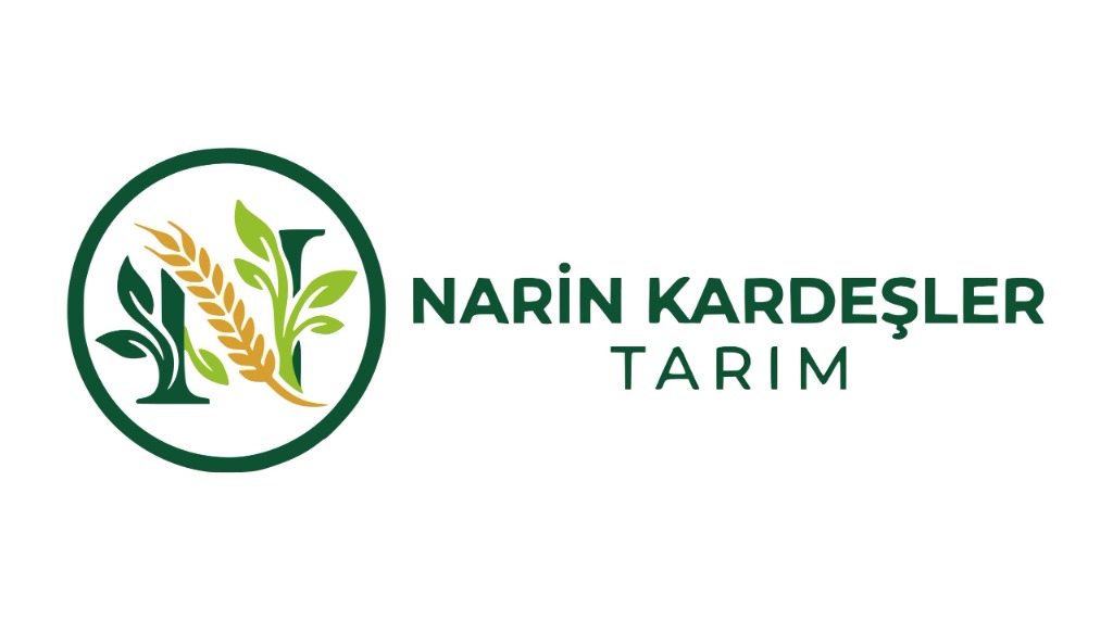 Kurumsal Logo